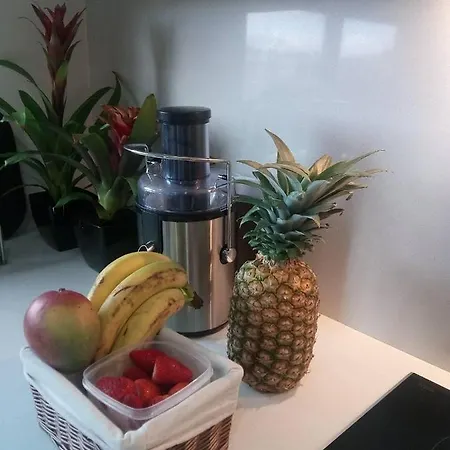 Apartament Luxury 3 Bedroom Penthouse With Private Garage Braga