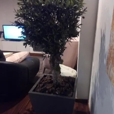 Luxury 3 Bedroom Penthouse With Private Garage * 브라가