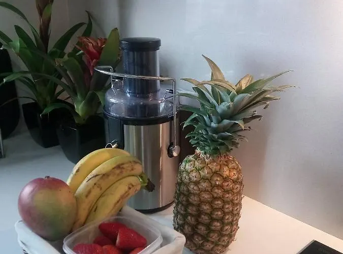 Apartment Luxury 3 Bedroom Penthouse With Private Garage Braga