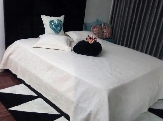 Luxury 3 Bedroom Penthouse With Private Garage Apartment